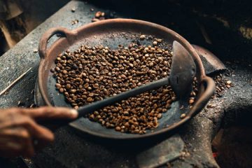 Apa Saja Jenis Kopi Luwak Indonesia ?