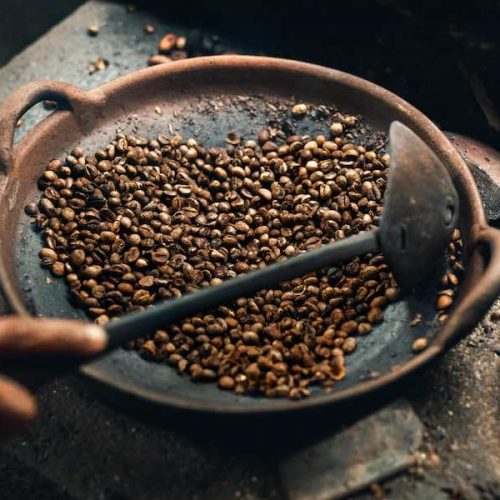 Apa Saja Jenis Kopi Luwak Indonesia ?