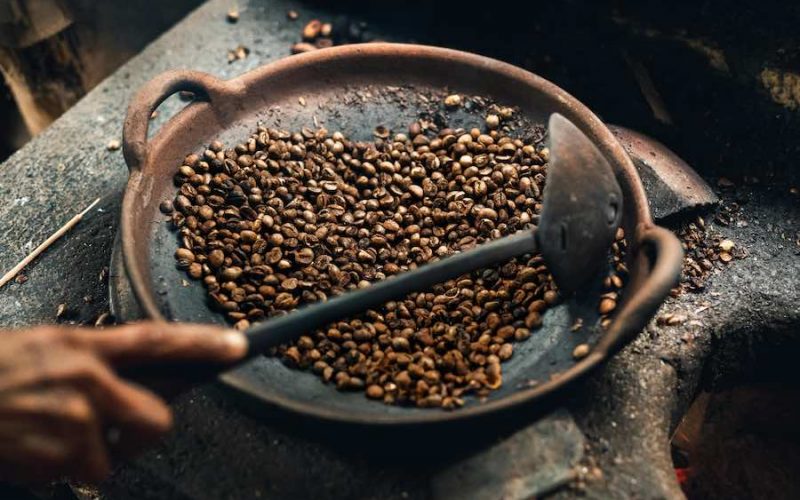 Apa Saja Jenis Kopi Luwak Indonesia ?